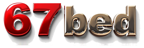 67bd bet logo